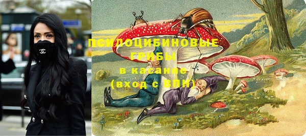 гидропоника Арсеньев