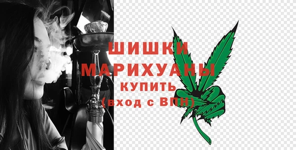 молекула духа Сосновоборск